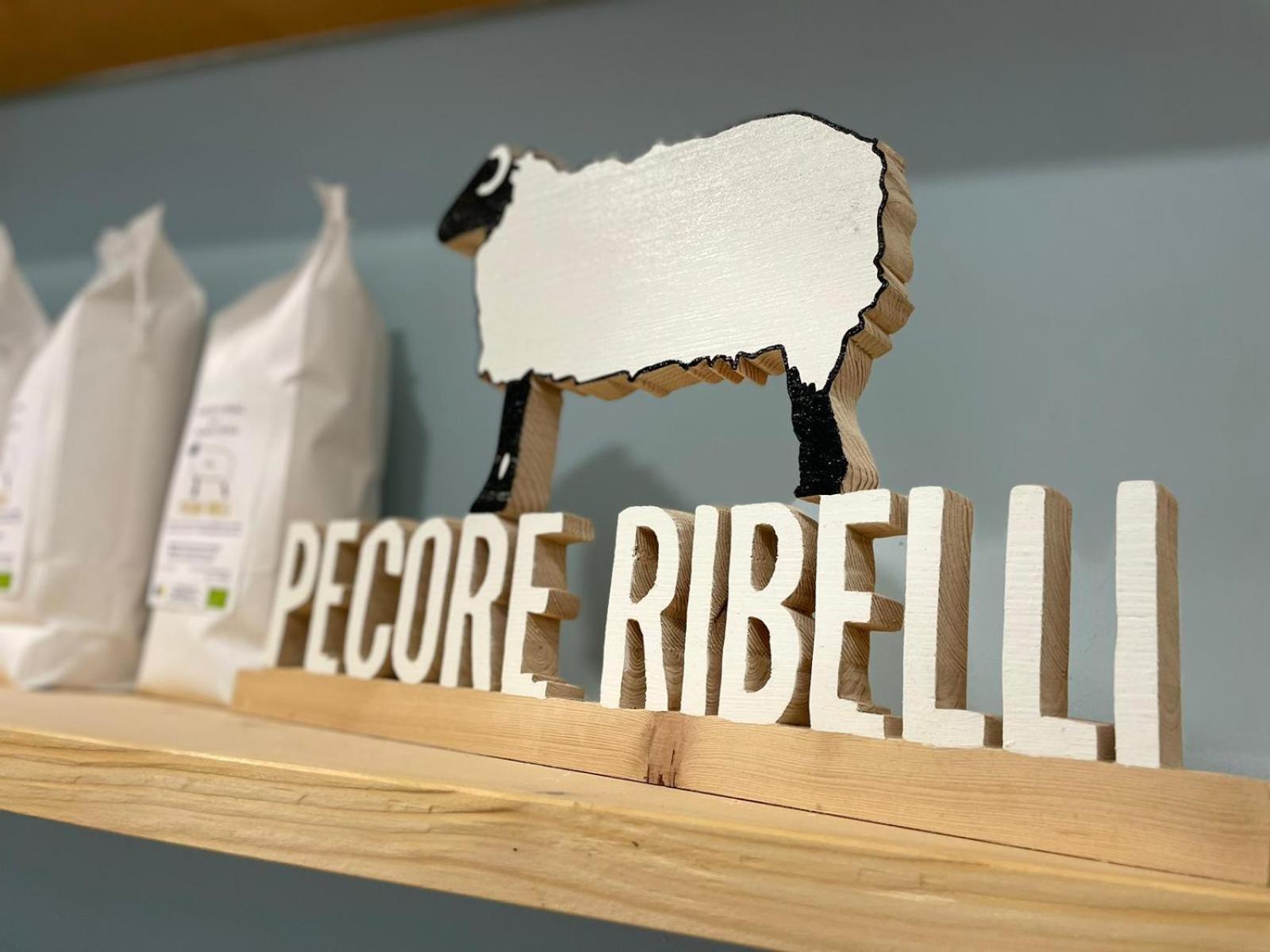 Pecore Ribelli ميرا المظهر الخارجي الصورة
