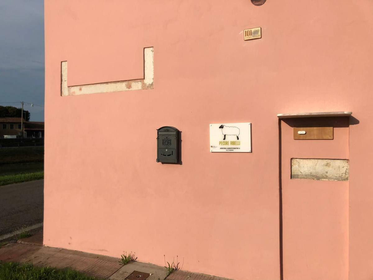 Pecore Ribelli ميرا المظهر الخارجي الصورة