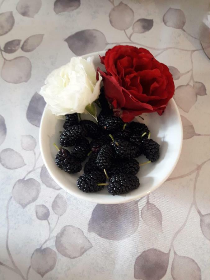 Pecore Ribelli ميرا المظهر الخارجي الصورة